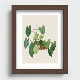 Philodendron Botanical Art Recessed Framed Print
