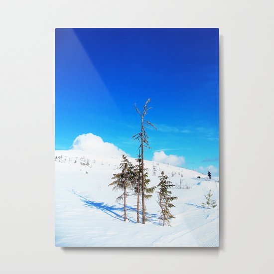 Still winter (easter in Norway 2013) Metal Print