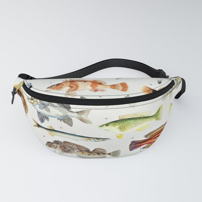 Illustrated Colorful Southern Pacific Exotic Game Fish Identification Chart No. 2 Fanny Pack