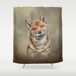 Drawing Japanese Shiba Inu dog  Shower Curtain