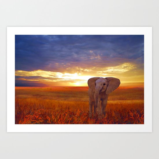 Elephant baby Art Print