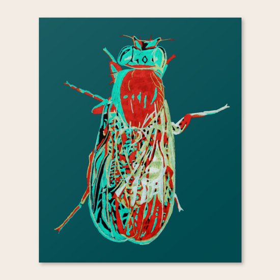 Fruit Fly 2 Canvas Print