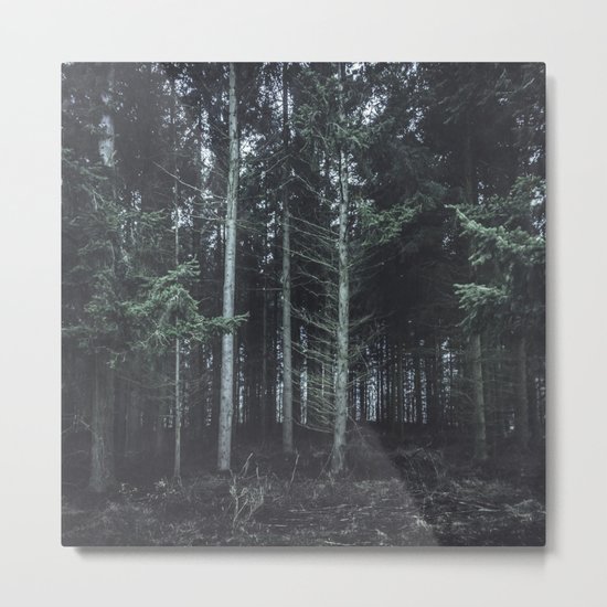 darkwood Metal Print