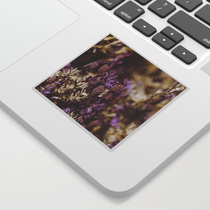 french lavender garden Sticker