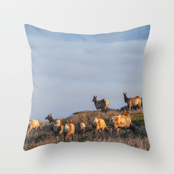 Elks at the Bay Throw Pillow