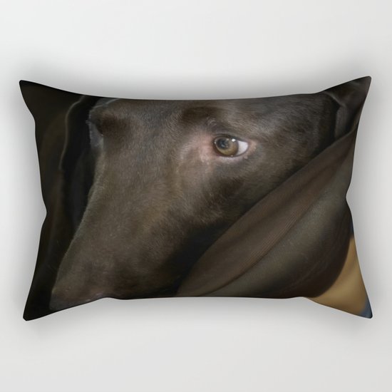 My Friend Chocolate Lab Rectangular Pillow