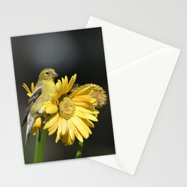 Female American Goldfinch perched on Yellow Gerbera Daisy Flowers Stationery Card