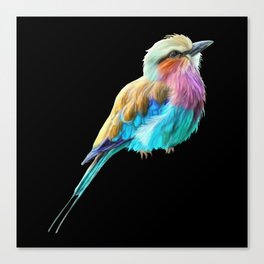 Lilac Breasted Roller Bird Canvas Print