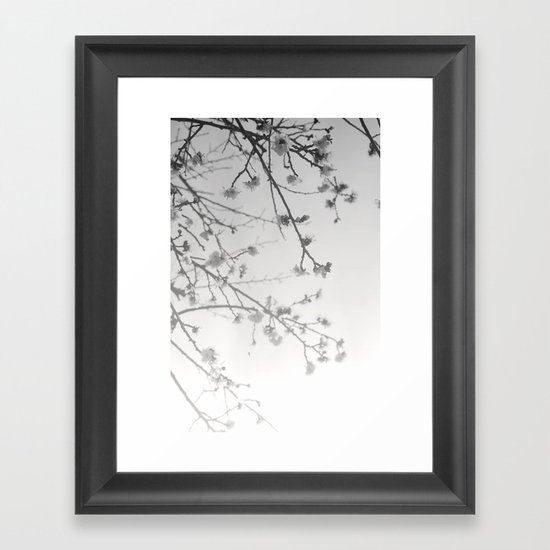 Rising Dawn Framed Art Print