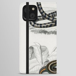 Anilius and Slug Eater iPhone Wallet Case