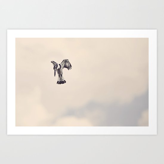 The Kingfisher Art Print