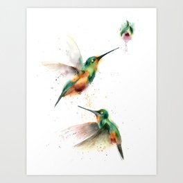 Two Hummingbirds Art Print