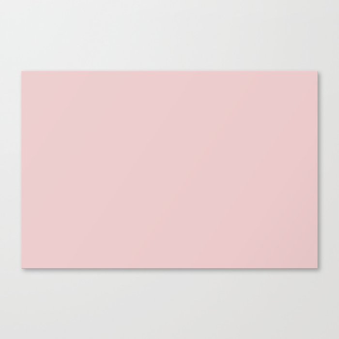 Pale Pastel Pink Solid Color Pairs PPG Pink Cardoon PPG1051-2 - All One Single Shade Hue Colour Canvas Print