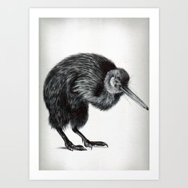 Kiwi Art Print