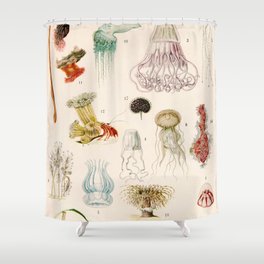 Adolphe Millot - Mollusques 02 - French vintage zoology illustration Shower Curtain