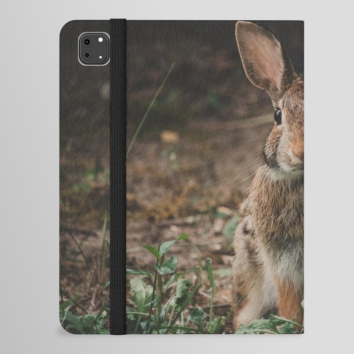 Bunny Rabbit Portrait iPad Folio Case