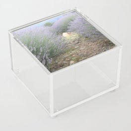 The Path Through Lavender Landscape Photograph Acrylic Box