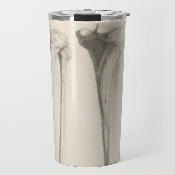 Anatomical Bones Travel Mug