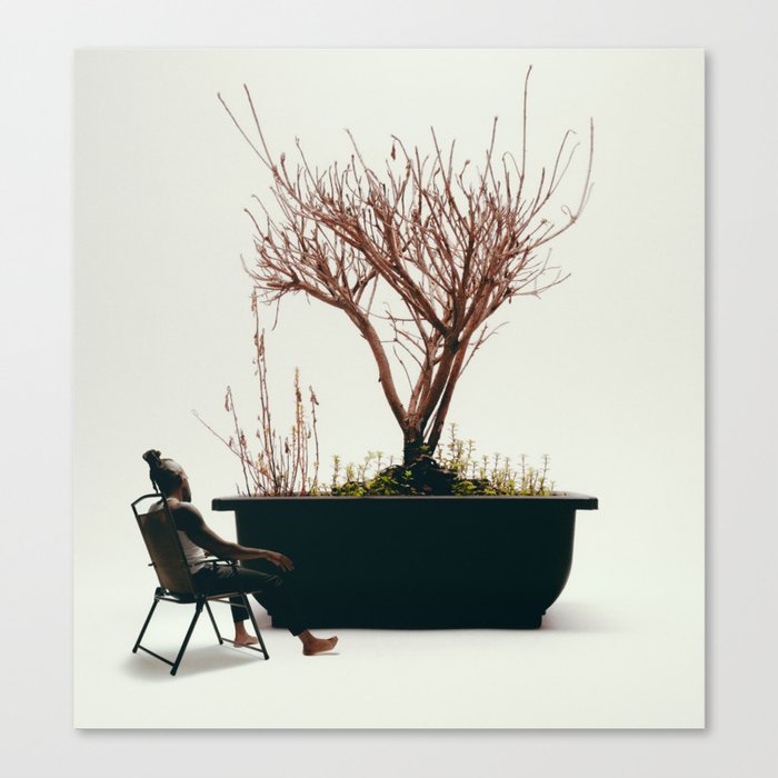 Waiting for Growth Canvas Print