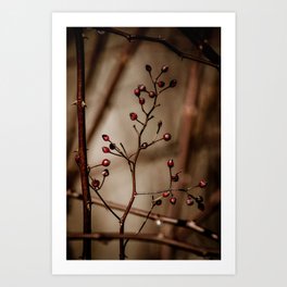 A Berry Wintery Afternoon Art Print