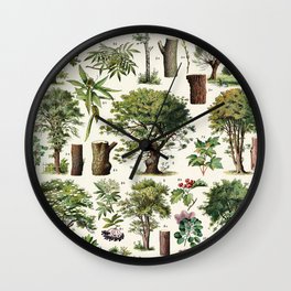 Adolphe Millot - Arbres A - French vintage botanical poster Wall Clock