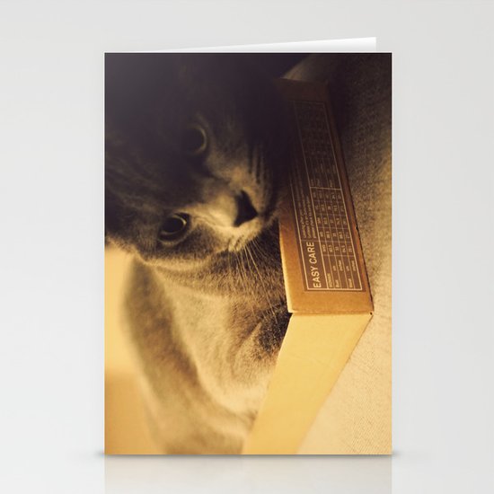 Cat Stationery Cards