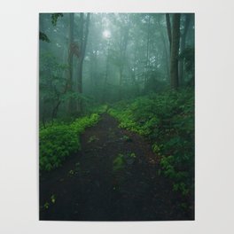 Misty woodland realm Poster