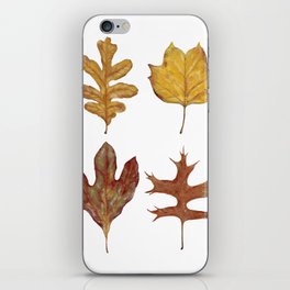 Fall Leaves Painting iPhone Skin