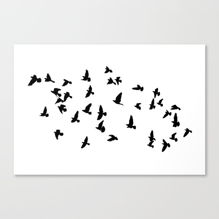 Flock of flying birds Canvas Print