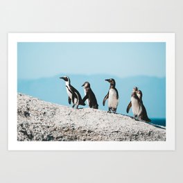 Penguins on Boulders Beach, Cape Town, South Africa || Travel photography Art Print