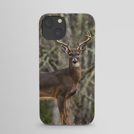 White Tailed Deer Eight Point Buck iPhone Case