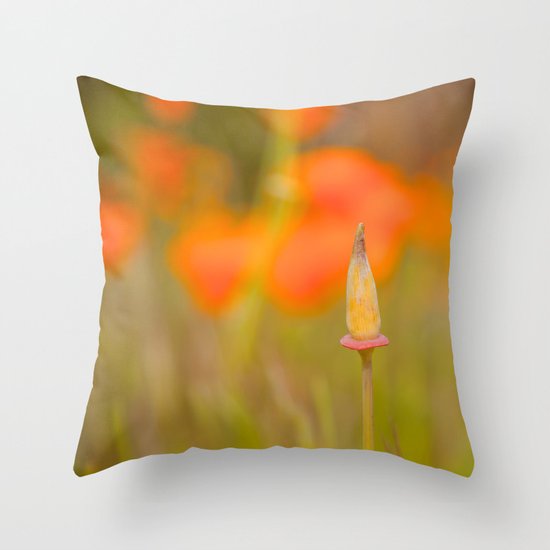 Orange Throw Pillow