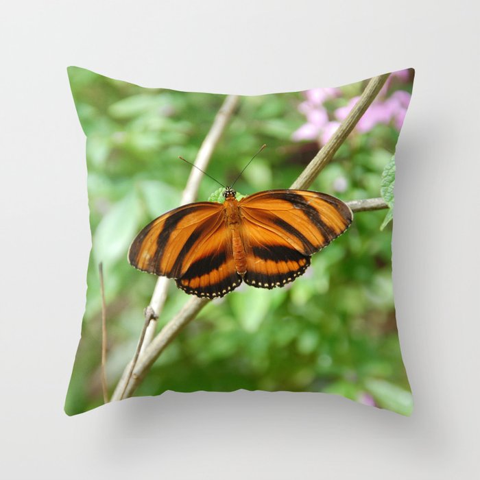 Mexico Photography - Beautiful Orange Butterfly With Black Stripes Throw Pillow
