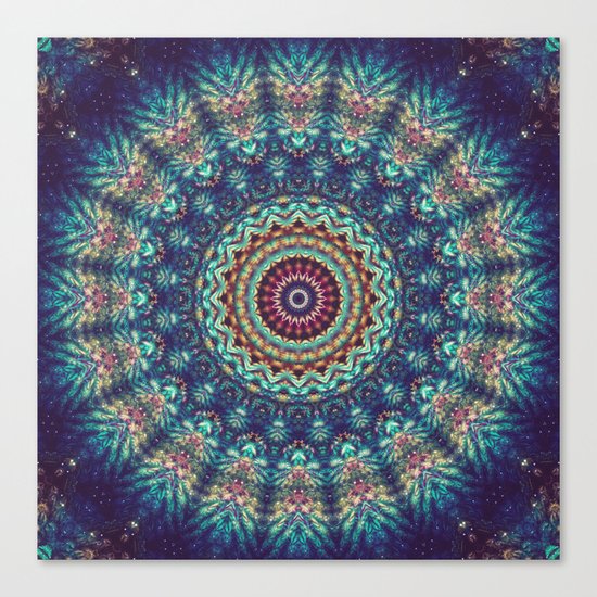 Gazing At The Mystery Canvas Print