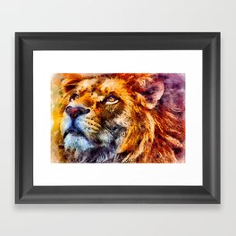 Lion Framed Art Print