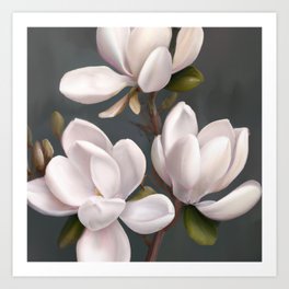 Magnolia Flowers Art Print