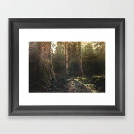 Olympic National Park - Pacific Northwest Nature Photography Framed Art Print