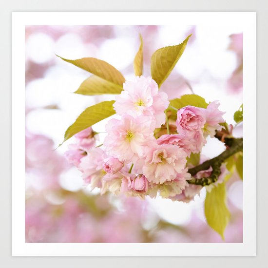 Sakura - Cherryblossom - Cherry blossom - Pink flowers on #Society6 Art Print