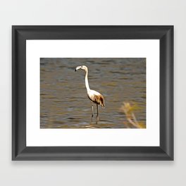Perfection Takes Time Flamingo Fledgling Art Framed Art Print