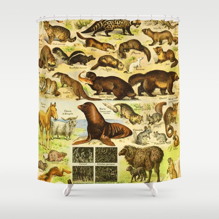 Adolphe Millot "Animals with furs" Shower Curtain
