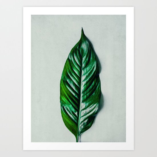 Green Leaf 1 Art Print