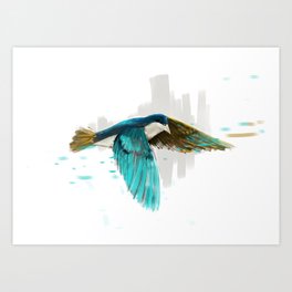 flying bird Art Print