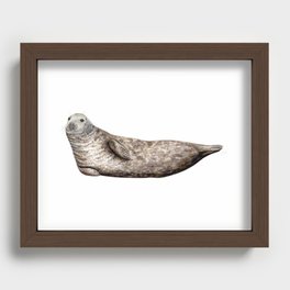 Grey Seal (Halichoerus grypus) Recessed Framed Print