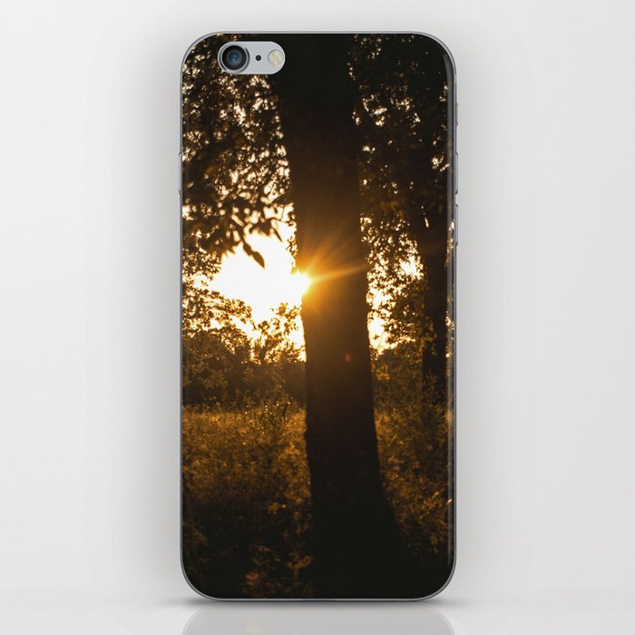 Texas Sunset Through the Trees iPhone Skin