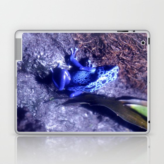 Mr Blue Frog Laptop & iPad Skin
