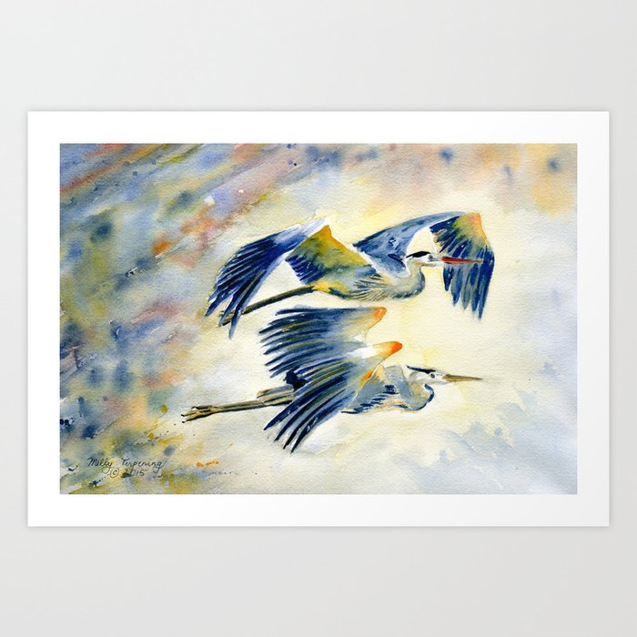 Flying Together - Great Blue Heron Art Print