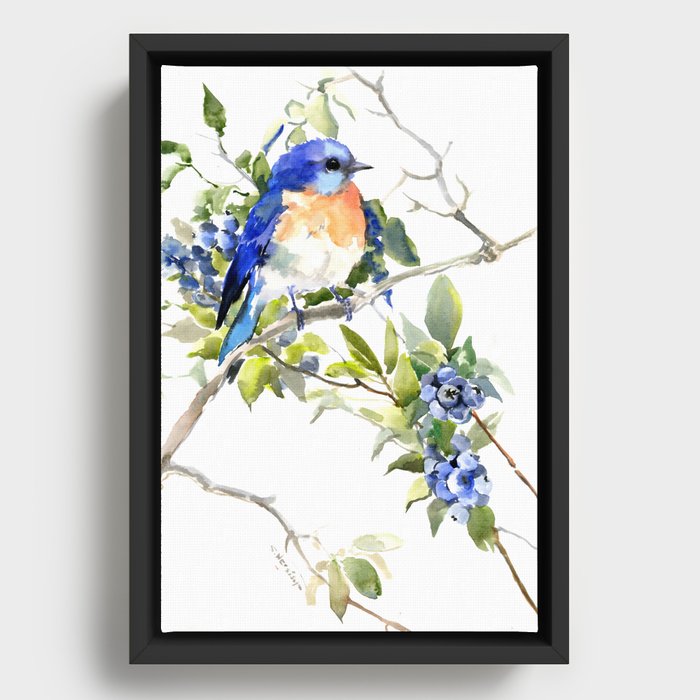 Bluebird and Blueberry Framed Canvas