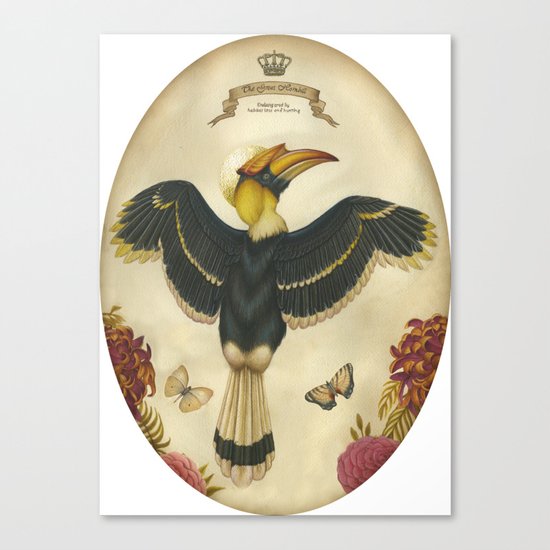 Great Hornbill Canvas Print