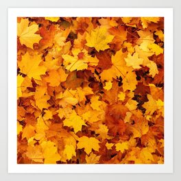 autumn leaves Art Print