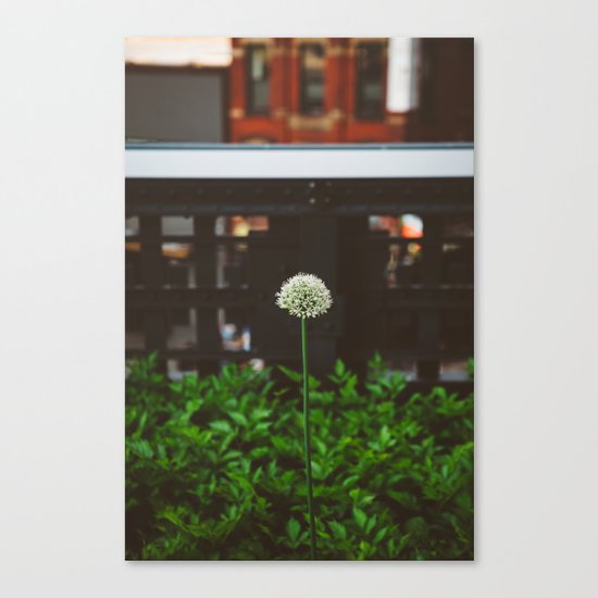 New York Garden Canvas Print